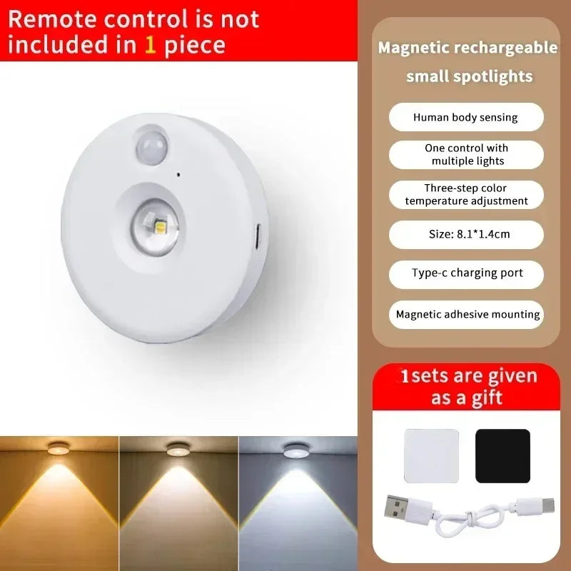 Wireless Motion Sensor Light