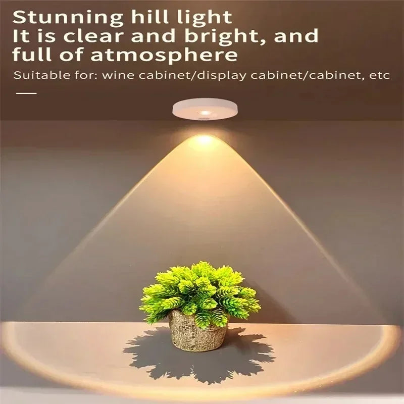 Wireless Motion Sensor Light