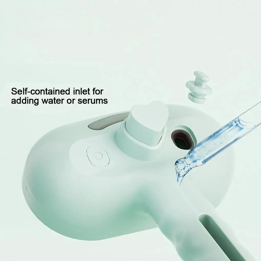 Steam Grooming Brush
